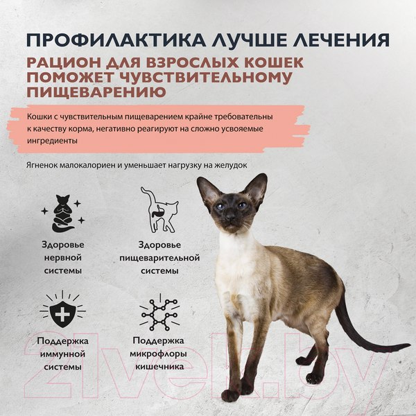 Изображение товара Сухой корм для кошек Brit Care Sensitive Healthy Digestion с индейкой и ягненком / 5066155 (7кг)