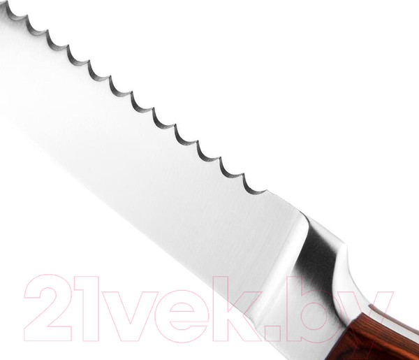 Изображение товара Набор ножей Vensal Robuste VS2000