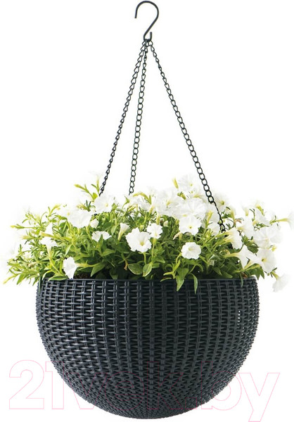 Изображение товара Кашпо BOTANICA Rattan (21x13см, серый)