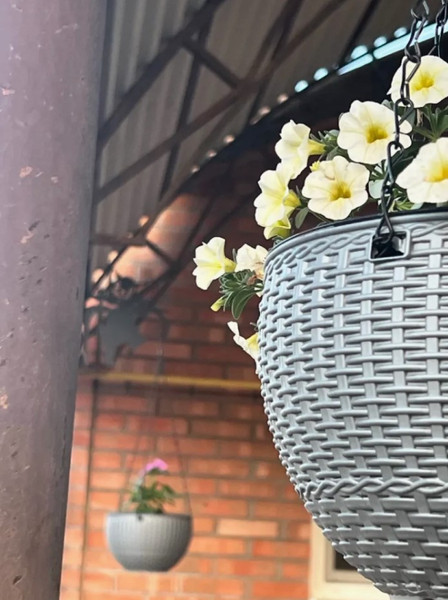 Изображение товара Кашпо BOTANICA Rattan (21x13см, серый)