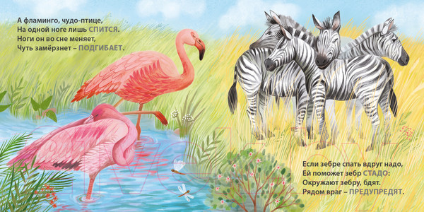 Изображение товара Развивающая книга Робинс Книжки – картонки. Загадки - рифмы. Кто как спит