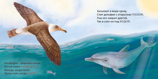 Изображение товара Развивающая книга Робинс Книжки – картонки. Загадки - рифмы. Кто как спит