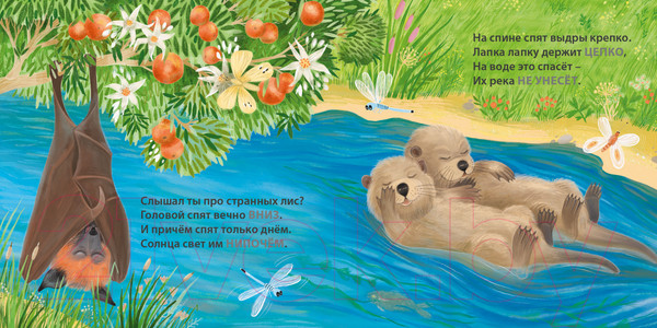 Изображение товара Развивающая книга Робинс Книжки – картонки. Загадки - рифмы. Кто как спит