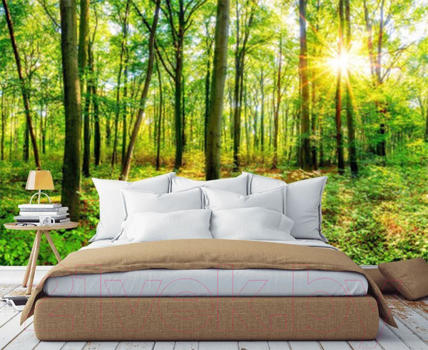 Изображение товара Фотообои листовые Citydecor Солнечный лес (546x265)