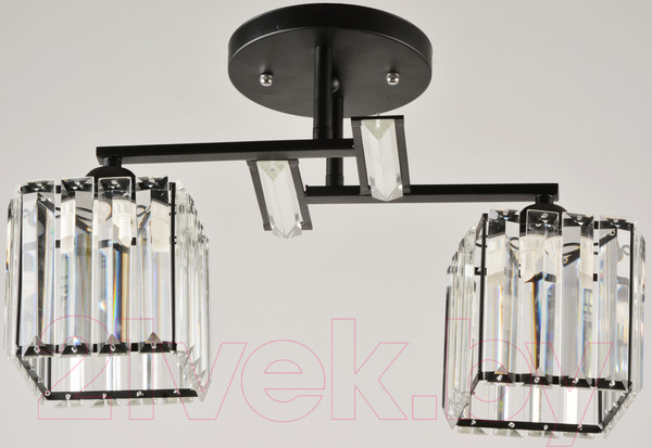 Изображение товара Потолочный светильник Mirastyle BL-14664/2 BK