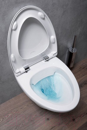 Изображение товара Сиденье для унитаза Jacob Delafon Nouvelle Vague E20068-00