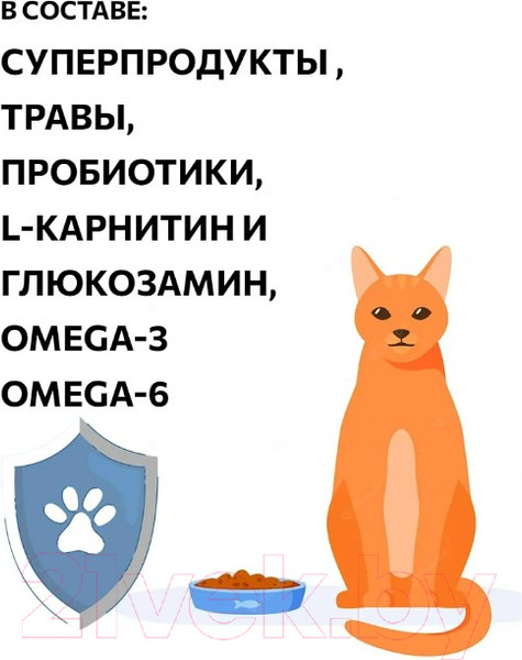 Изображение товара Сухой корм для кошек Ambrosia Grain Free для стерилизов., свежая форель и кролик / U/ACTR1.5 (1.5кг)