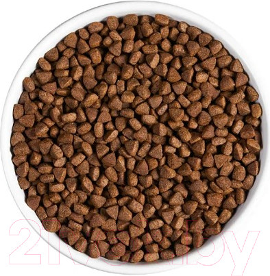 Изображение товара Сухой корм для кошек Ambrosia Grain Free для стерилизов., свежая форель и кролик / U/ACTR1.5 (1.5кг)