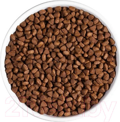 Изображение товара Сухой корм для кошек Ambrosia Grain Free для стерилизов., свежие утка и индейка / U/ACDT5 (5кг)