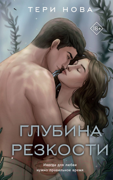 Изображение товара Книга Like Book Глубина резкости (Нова Т.)