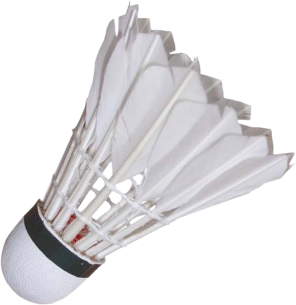 Изображение товара Воланчик ZEZ Sport YMQ-T401