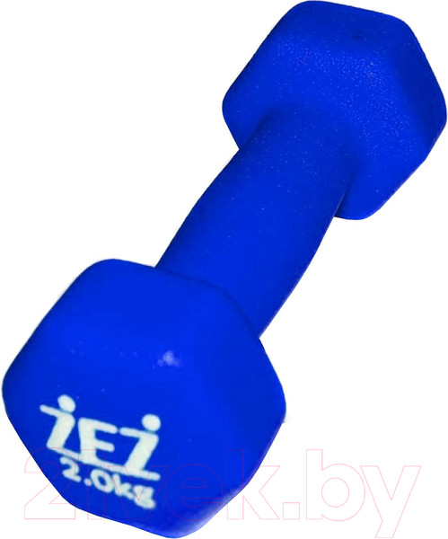 Изображение товара Гантель ZEZ Sport 2kg-N
