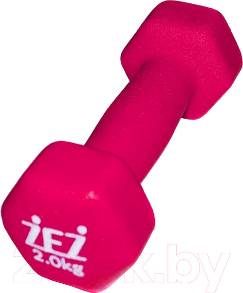 Изображение товара Гантель ZEZ Sport 2kg-N