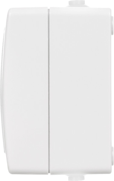 Изображение товара Розетка TDM Вуокса SQ1803-1007 (белый)