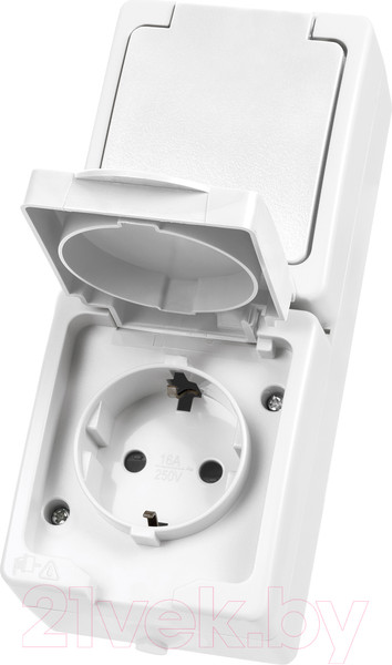 Изображение товара Розетка TDM Вуокса SQ1803-1009 (белый)
