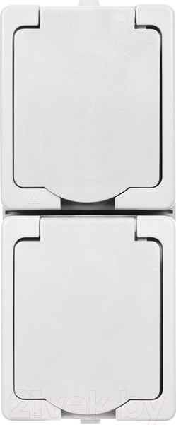 Изображение товара Розетка TDM Вуокса SQ1803-1009 (белый)