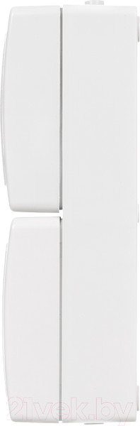 Изображение товара Розетка TDM Вуокса SQ1803-1009 (белый)