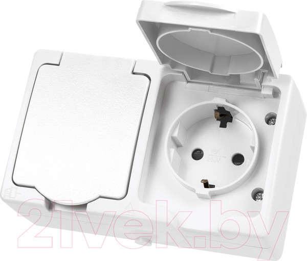 Изображение товара Розетка TDM Вуокса SQ1803-1008 (белый)