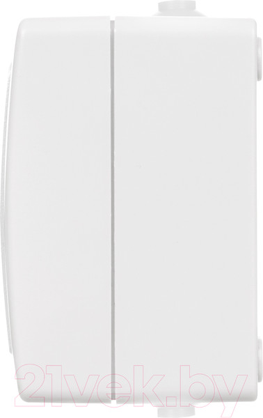 Изображение товара Розетка TDM Вуокса SQ1803-1008 (белый)