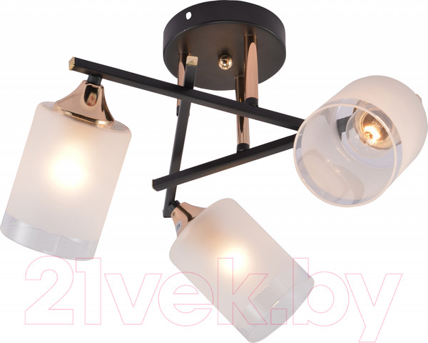 Изображение товара Люстра Rivoli Fiona 3163-303 / Б0059259