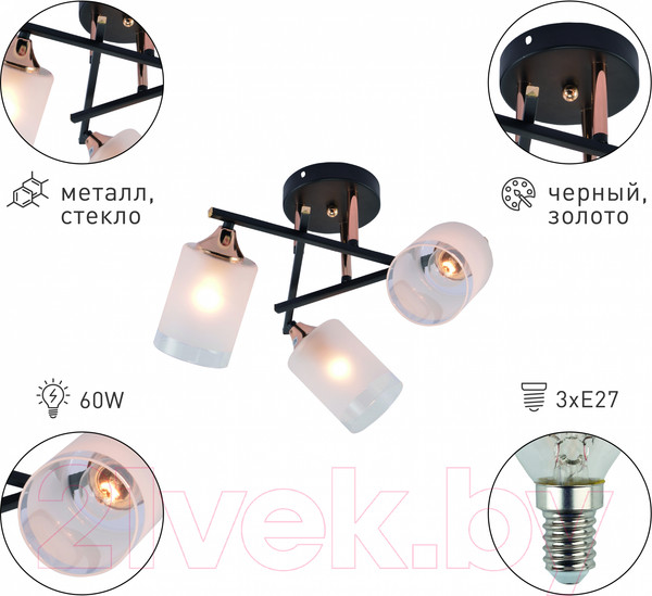 Изображение товара Люстра Rivoli Fiona 3163-303 / Б0059259