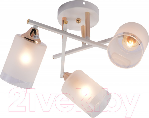 Изображение товара Люстра Rivoli Tammy 3162-303 / Б0059258
