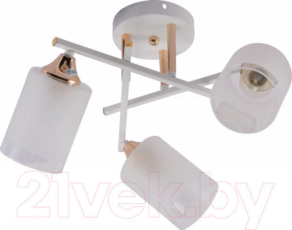 Изображение товара Люстра Rivoli Tammy 3162-303 / Б0059258