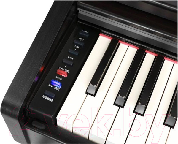 Изображение товара Цифровое фортепиано Medeli DP280K