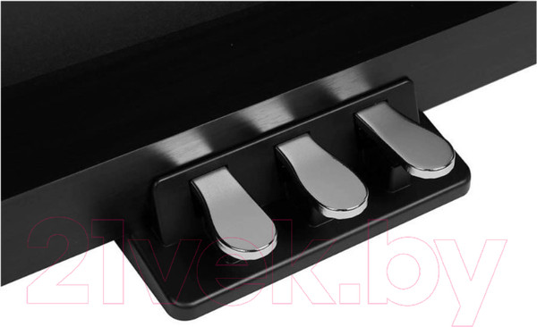 Изображение товара Цифровое фортепиано Medeli DP280K