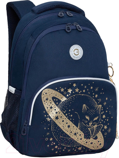 Изображение товара Школьный рюкзак Grizzly RG-460-2 (синий/золото)