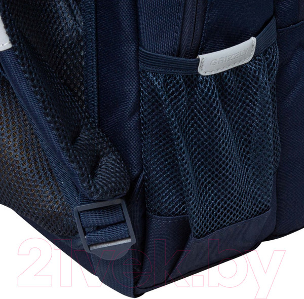 Изображение товара Школьный рюкзак Grizzly RG-460-2 (синий/золото)