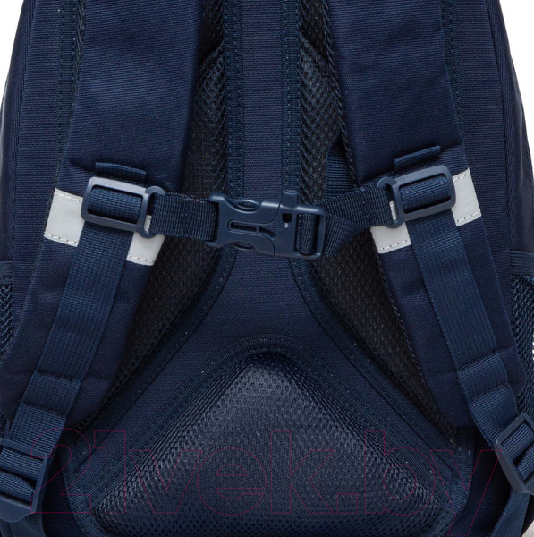 Изображение товара Школьный рюкзак Grizzly RG-460-2 (синий/золото)