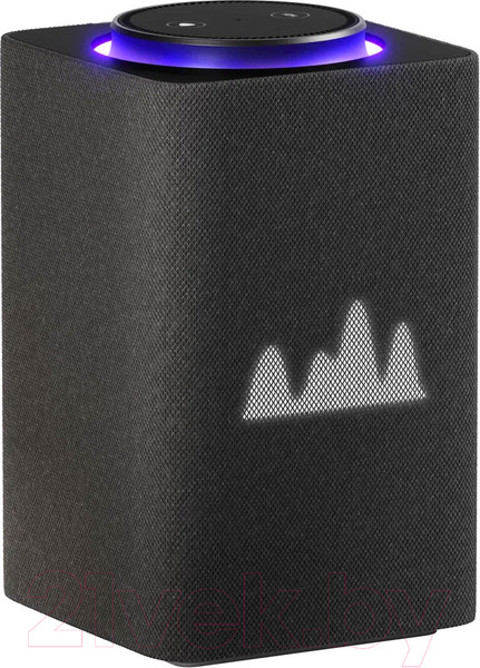 Изображение товара Умная колонка Яндекс Станция Макс с Zigbee YNDX-00053K (черный)