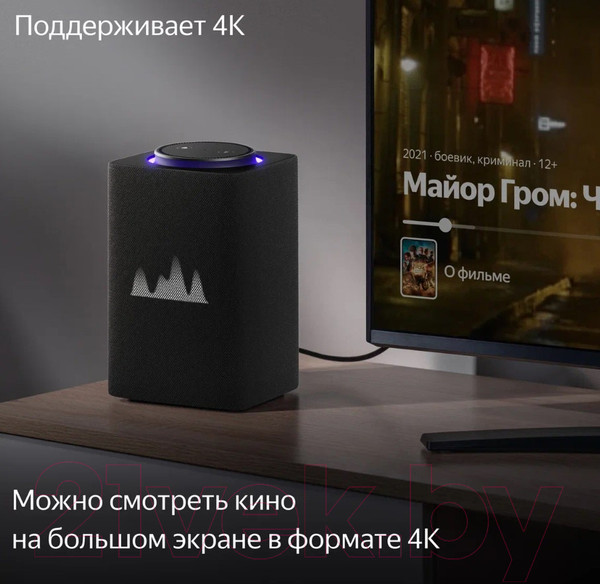Изображение товара Умная колонка Яндекс Станция Макс с Zigbee YNDX-00053K (черный)