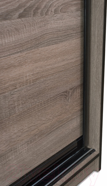 Изображение товара Шкаф-купе Евва 24 TTG.03 / АЭП ШК.3 01 (дуб трюфель/венге глянец)