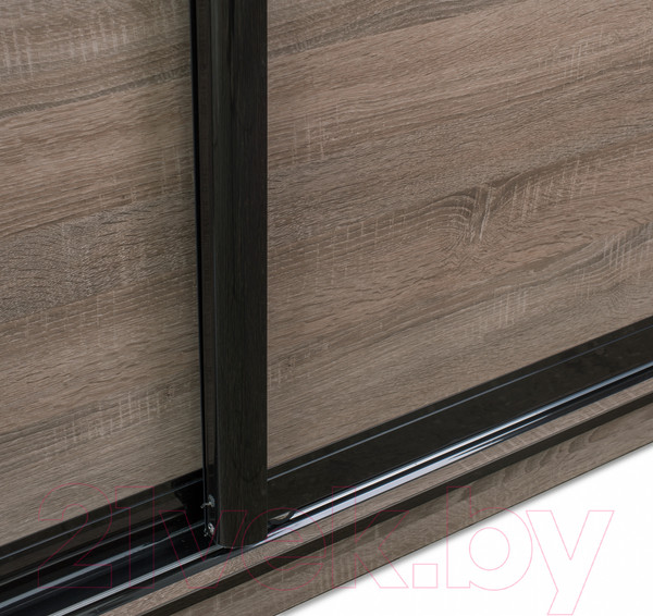 Изображение товара Шкаф-купе Евва 21 TTG.03 / АЭП ШК.3 02 (дуб трюфель/венге глянец)