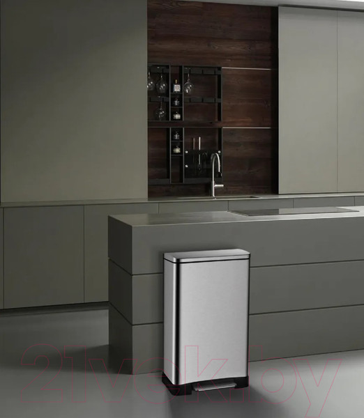 Изображение товара Мусорное ведро WeltWasser Lassy MT 30L (матовая сталь)