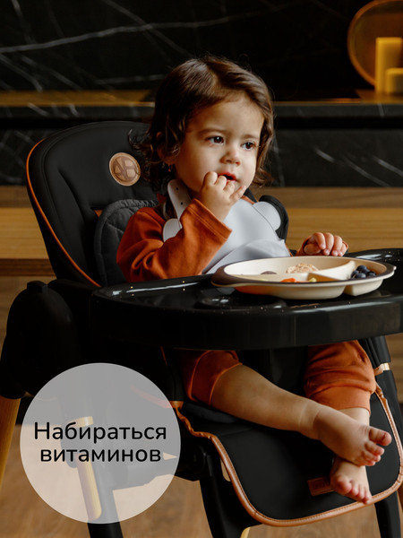 Изображение товара Стульчик для кормления Amarobaby Elegant / AB23-23EL/09 (черный)