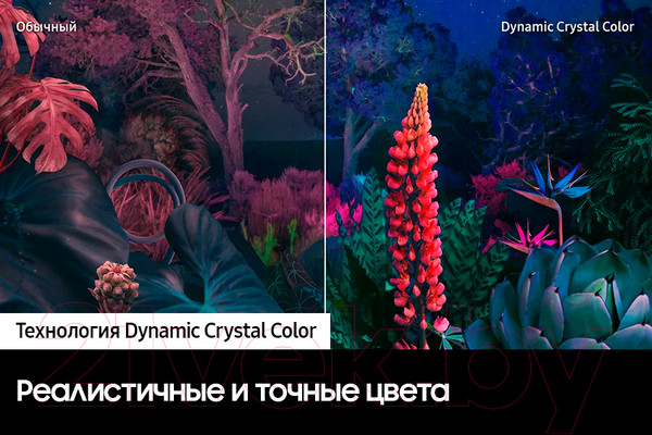 Изображение товара Телевизор Samsung 50" CU8000 UE50CU8000UXRU
