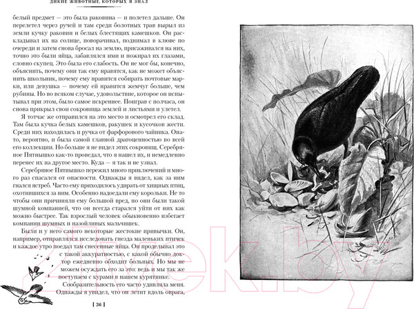 Изображение товара Книга Иностранка Рассказы о животных (Сетон-Томпсон Э.)