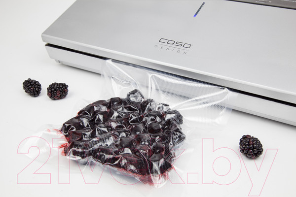 Изображение товара Вакуумный упаковщик Caso GourmetVac 480