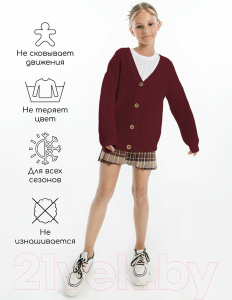 Изображение товара Кофта для малышей Amarobaby Knit / AB-OD21-KNIT19S/08-104 (бордовый, р.104)