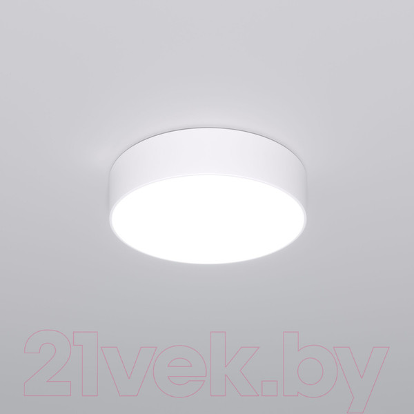 Изображение товара Потолочный светильник Евросвет 90318/1 (белый)