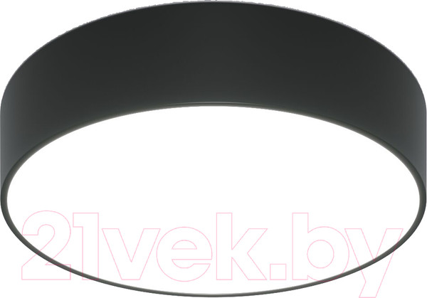 Изображение товара Потолочный светильник Евросвет 90318/1 (черный)