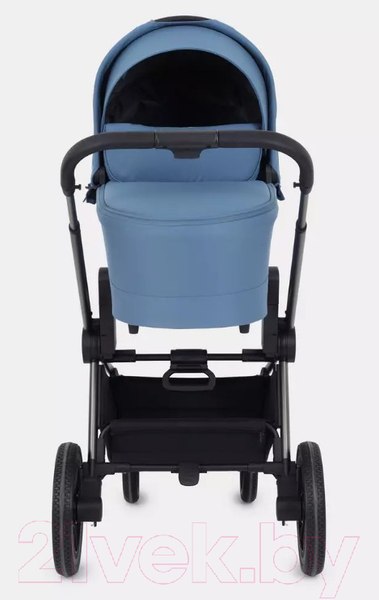 Изображение товара Детская универсальная коляска Rant Flex Pro 2 в 1 2023 / RA074 (синий)