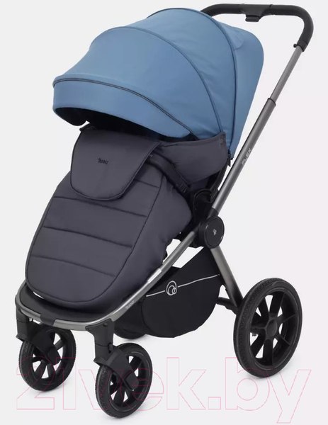 Изображение товара Детская универсальная коляска Rant Flex Pro 2 в 1 2023 / RA074 (синий)