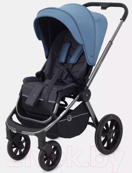 Изображение товара Детская универсальная коляска Rant Flex Pro 2 в 1 2023 / RA074 (синий)