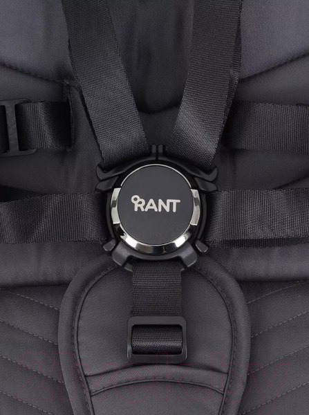 Изображение товара Детская универсальная коляска Rant Flex Pro 2 в 1 2023 / RA074 (синий)