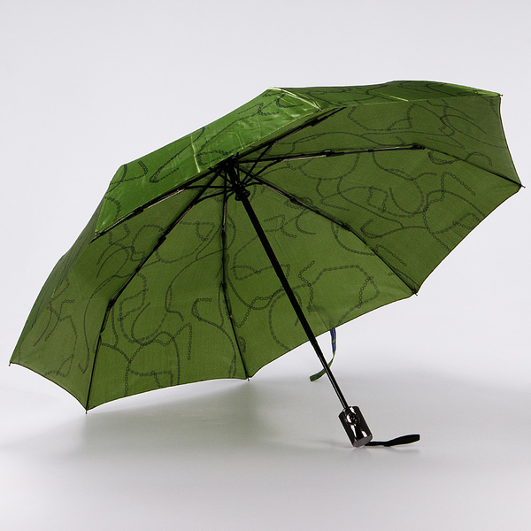 Изображение товара Зонт складной Rain Berry 734-23332