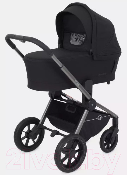 Изображение товара Детская универсальная коляска Rant Flex Pro 2 в 1 2023 / RA074 (черный)